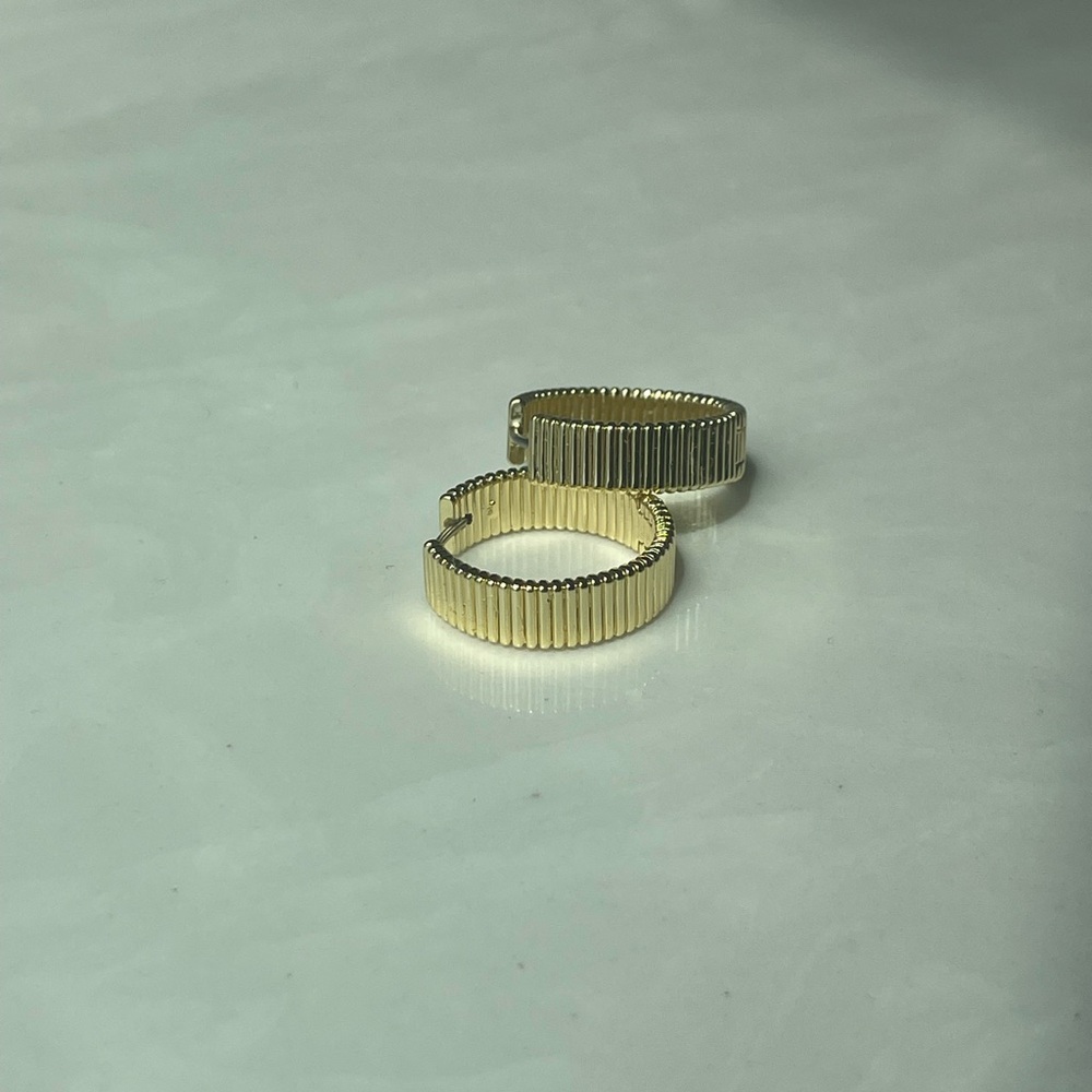 Gorjana Gold Hoop Earrings NWOT